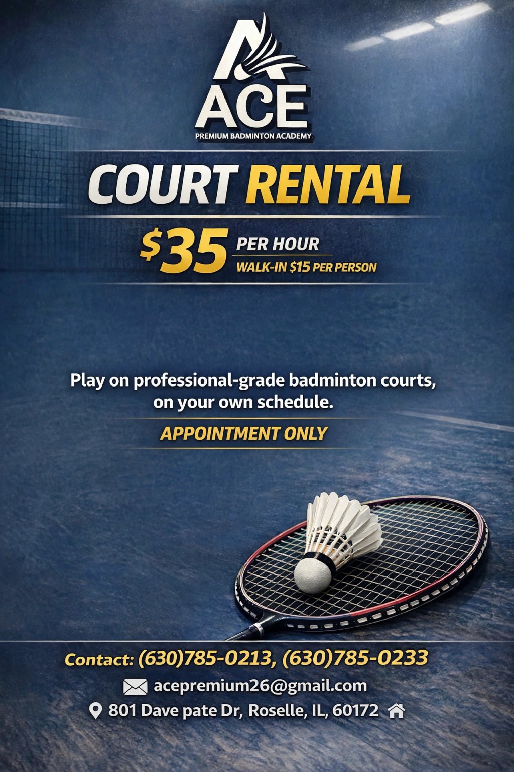 court rental flyer